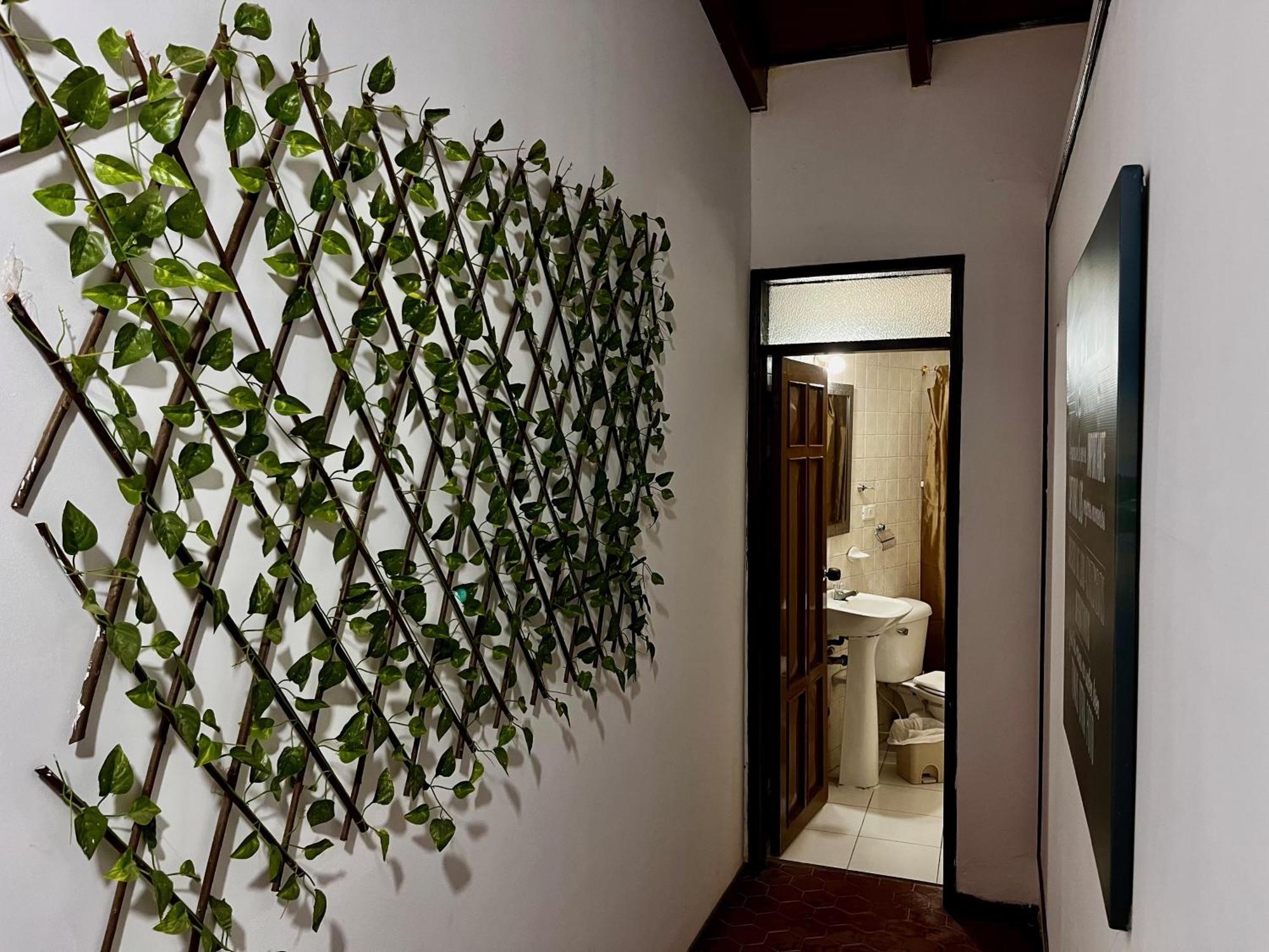The Chill In Mansion Hostel Santa Marta 외부 사진